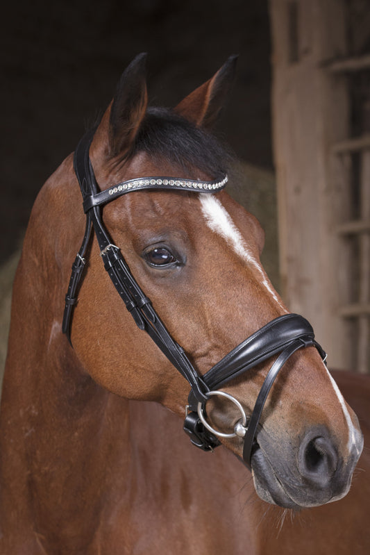 Bridon NORTON PRO - Strass