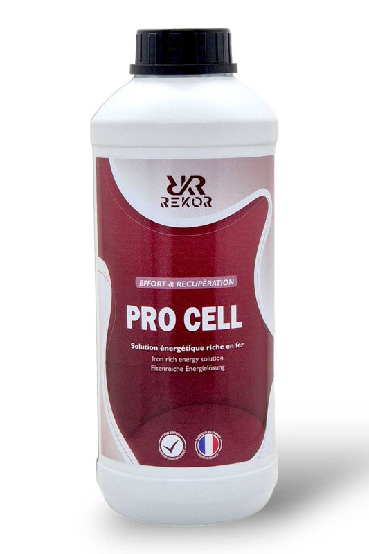 Aliment complémentaire en fer REKOR - Pro Cell