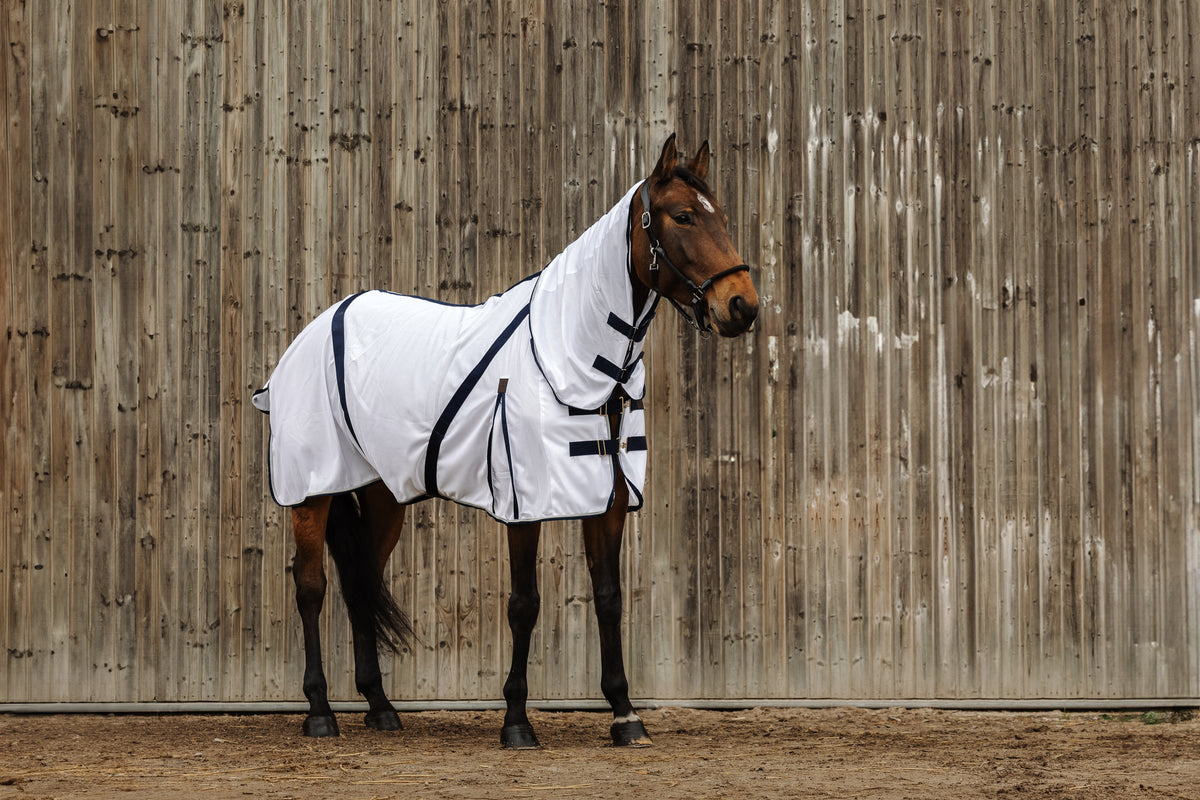 Chemise anti-insectes EQUITHÈME - Mesh combo