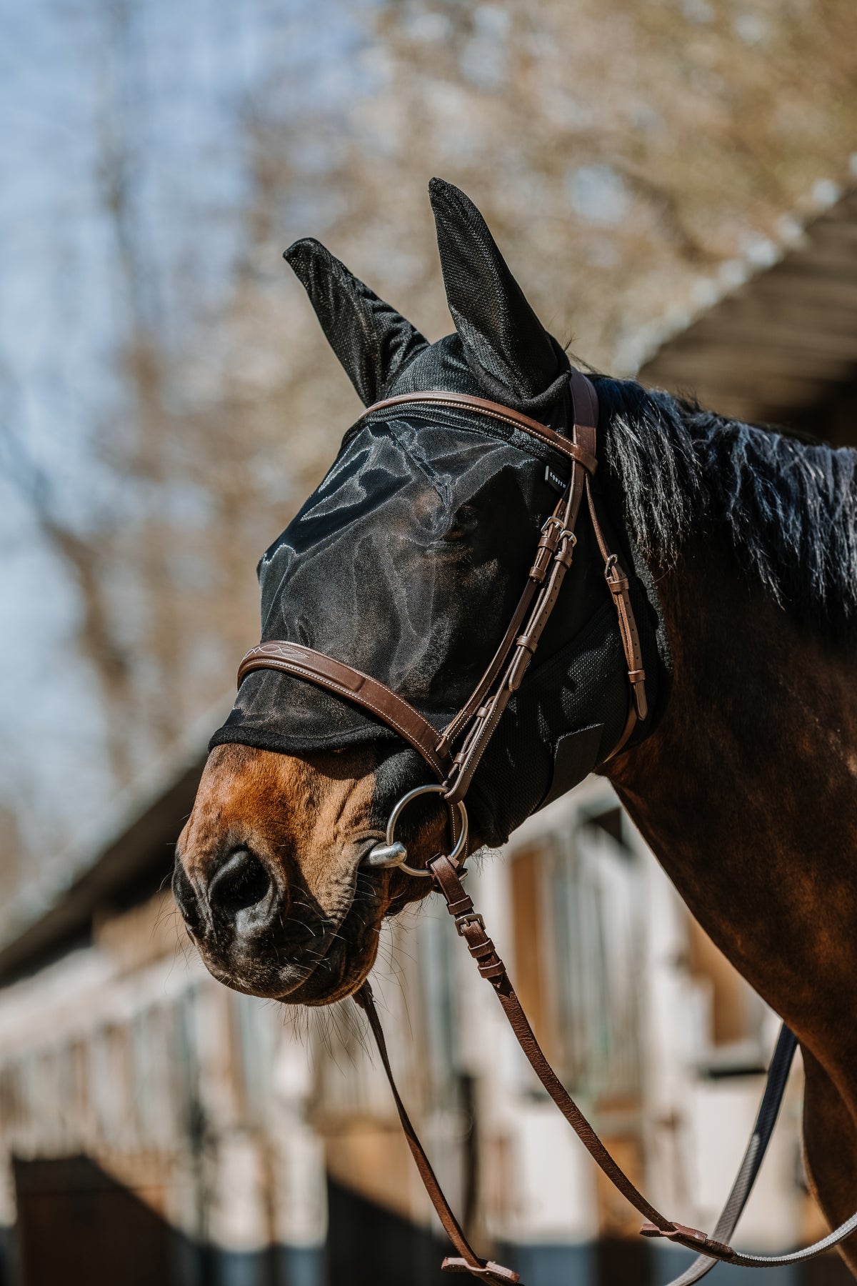 Masque EQUITHEME EK-Anatomic