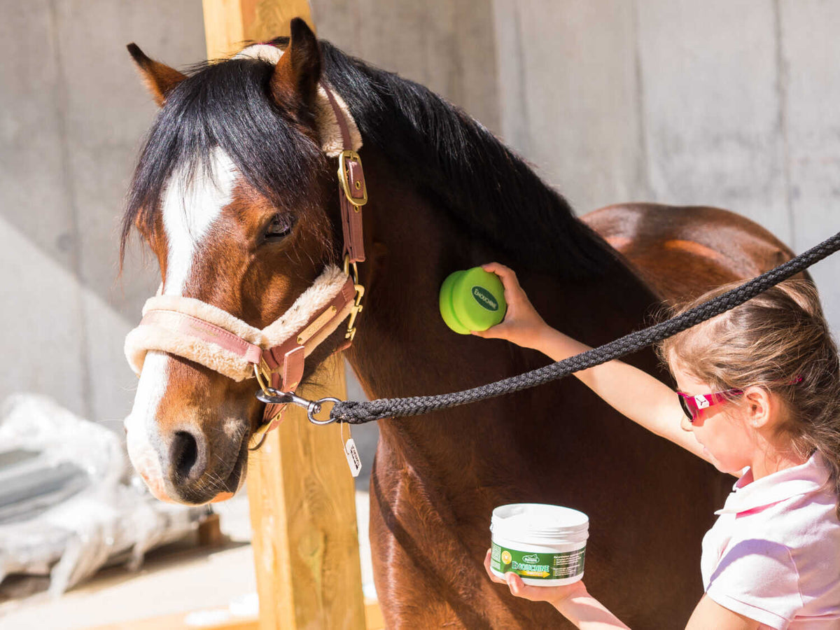Émouchine Protec Gel RAVENE - Pot + éponge