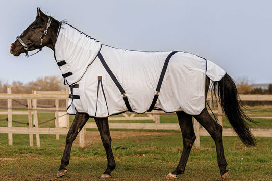 Chemise anti-insectes EQUITHÈME - Mesh combo