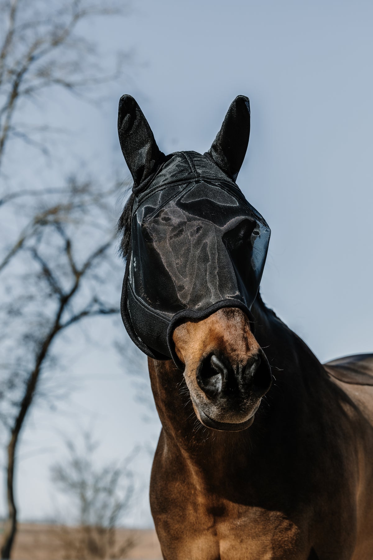 Masque EQUITHEME EK-Anatomic