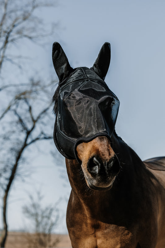 Masque EQUITHEME EK-Anatomic